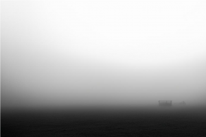 Утром вторника в Тульской области ожидается сильный туман.