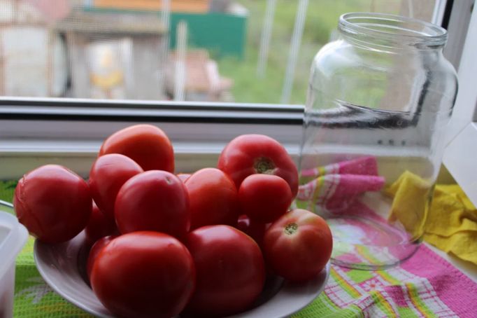 Россияне вырастили помидоров и огурцов больше, чем в прошлом году