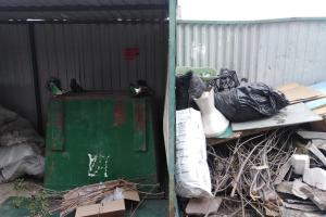 Щекинцы возмущены: из-за перевернутых контейнеров мусор сваливают на землю.