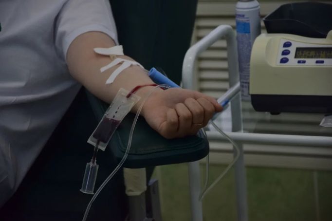 Туляки хотят сдать кровь для раненых во время теракта в Подмосковье 