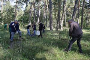250 сосен высадили в Тульской области в рамках акции «Сохраним лес».