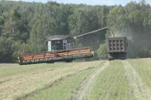 Российское зерно остается одним из самых привлекательных на глобальном рынке .