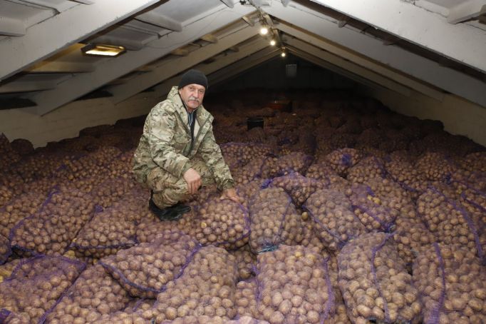 Картошка для Казахстана, или Фермер, который не плачет