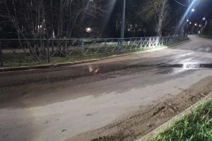 Мотоциклист в Новомосковске врезался в бордюрный камень .