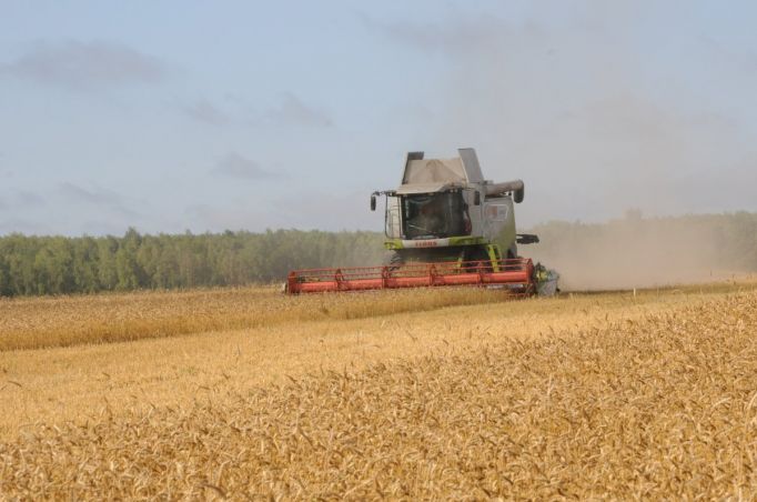 В Тульской области собрали уже свыше 2,3 млн тонн зерна