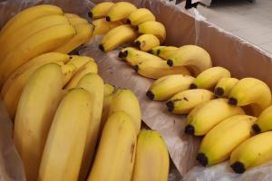 Диетолог назвала оптимальное количество бананов в рационе.