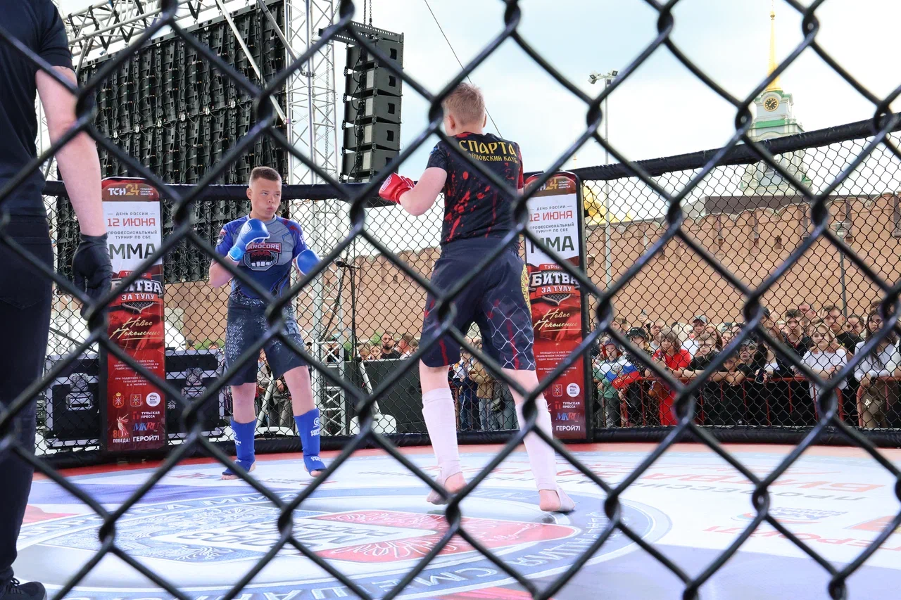 mma_pol