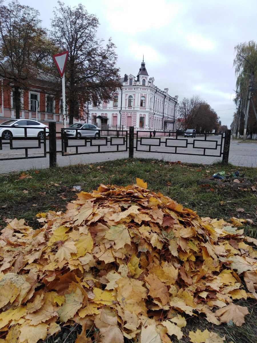 nowosibkow