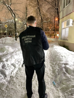 В Туле директор УК оштрафован на 150 тысяч рублей из-за падения снега на ребенка
