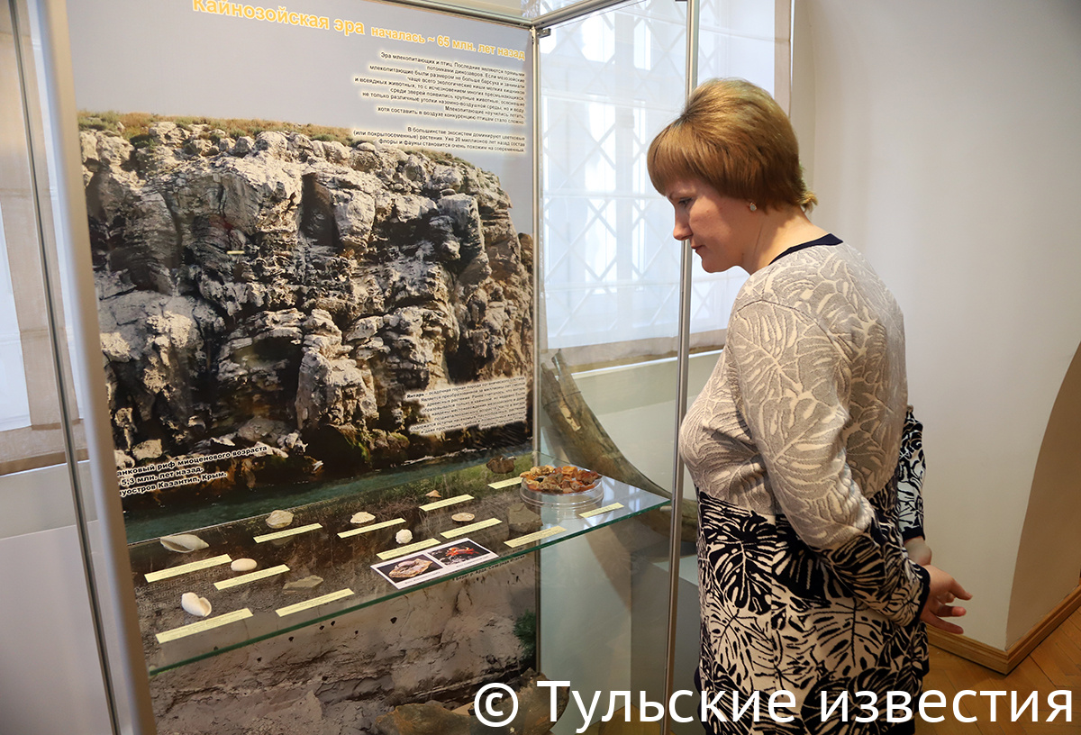 Сайт тульских известий