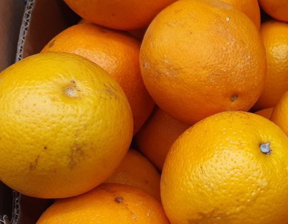 В Туле в турецких апельсинах нашли пестициды