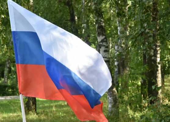 Михаил Шестаков: Референдумы – очень важный шаг к победе