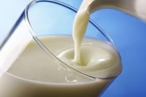 В Тульской области увеличились объемы производства молока.