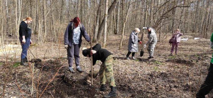 Тульские депутаты высадили в Ясной Поляне еще 430 деревьев 