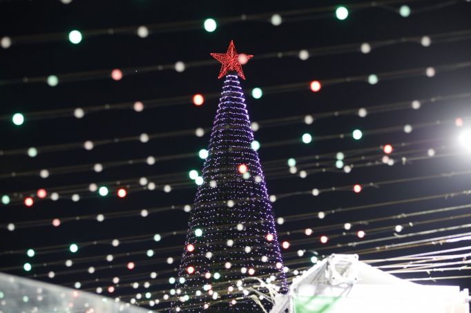 Новый год в Тульской области отметят без дополнительных трат и массовых мероприятий
