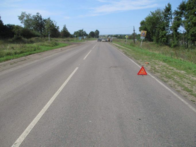 В Тульской области Hyundai Accent сбил двух несовершеннолетних детей