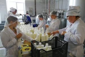На 6% вырос объем реализации молока в сельхозорганизациях нашей страны.