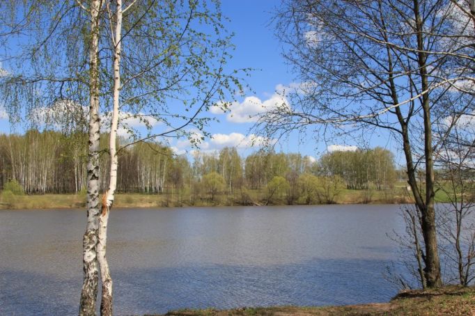 В Тульской области очистили берега рек и прудов 