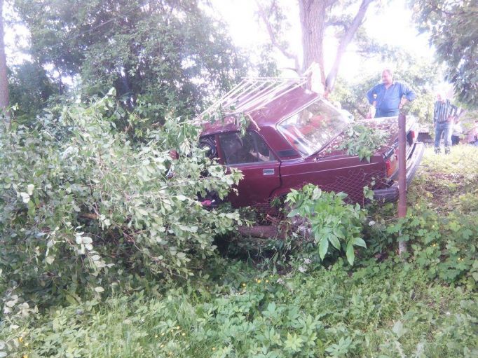 В Плавском районе после столкновения с деревом погиб пассажир  легковушки