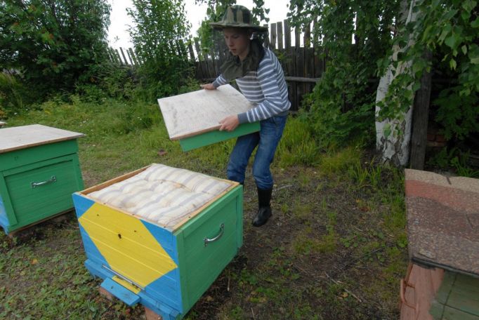  Вниманию пчеловодов