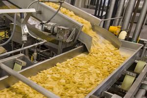 В Тульской области построят завод по выпуску чипсов.