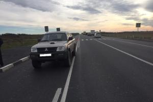 На трассе "Крым" водитель сбил пенсионерку .