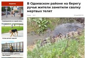 В соцсетях обсуждают свалку мертвых телят в Одоевском районе .