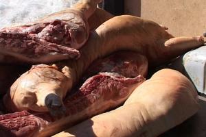 В Тульской области за нарушение СанПиНов закрыта свиноферма.