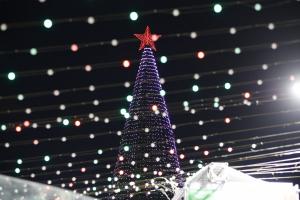 Новый год в Тульской области отметят без дополнительных трат и массовых мероприятий.