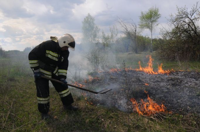 В Узловском и Веневском районах Тульской области выжгли больше 390 га сельхозугодий 