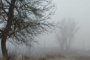 В Тульской области из-за тумана объявлено метеопредупреждение.