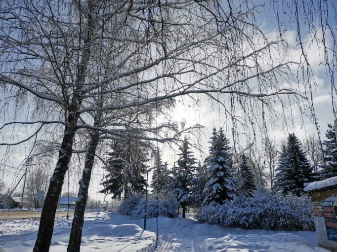 В Тульской области ожидается снегопад 