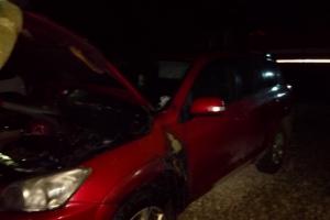 Ночью в Туле Toyota RAV4 потушили за 2 минуты.