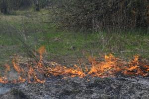 В северных районах Тульской области степень пожароопасности достигнет 4 класса .