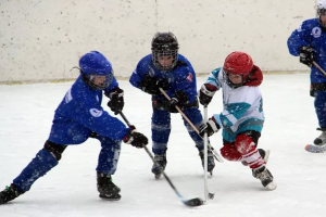В Туле и Новомосковске пройдет детский Кубок по дворовому хоккею .