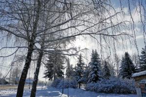 В Тульской области ожидается снегопад .