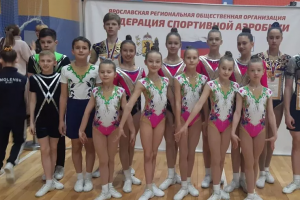 Новомосковские спортсмены успешно выступили на Кубке Ярослава Мудрого.