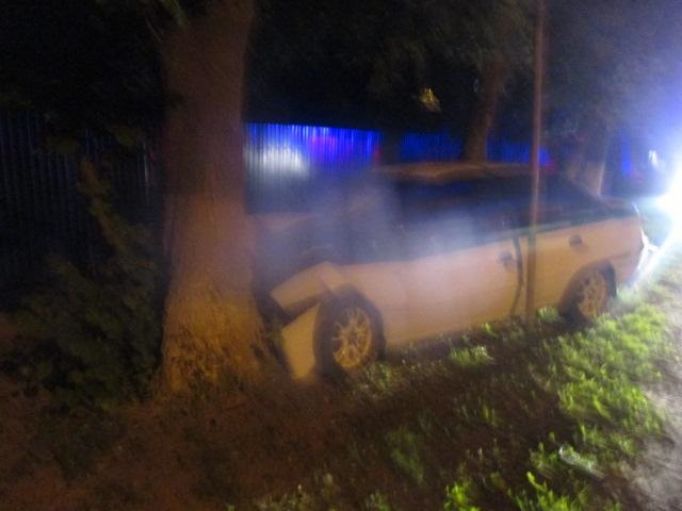В Туле автолюбитель на Daewoo Nexia врезался в дерево