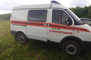Две минометные мины и взрыватель от снаряда нашли в Арсеньевском районе.