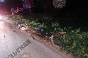 В Щёкинском районе 9-летний велосипедист попал в больницу.