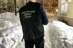 В Туле директор УК оштрафован на 150 тысяч рублей из-за падения снега на ребенка.
