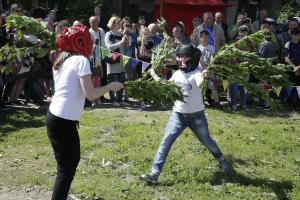 Фестиваль крапивы и «Пестрая Поляна» в этом году не состоятся.