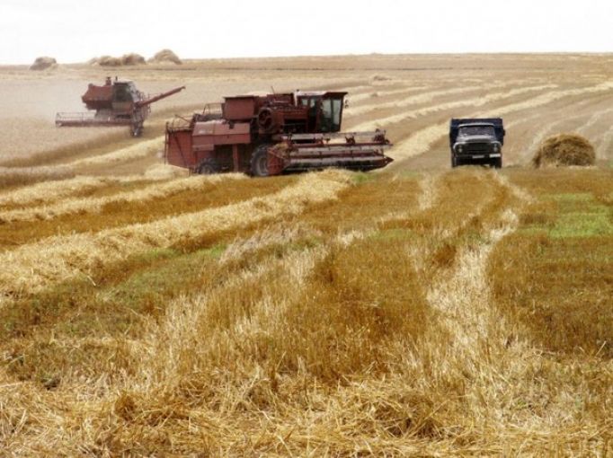 Груздев предложил поддержать аграриев, пострадавших от непогоды, на федеральном уровне