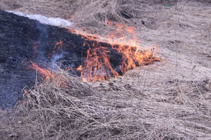 В тульском Хомяково вместе с полями едва не сгорели дома