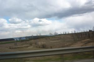 В Щекинском районе трава горит недалеко от автомобильной дороги М-2 «Крым».