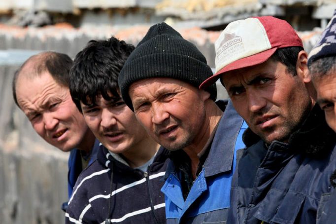 В Тульском парниковом хозяйстве незаконно работали 26 мигрантов 
