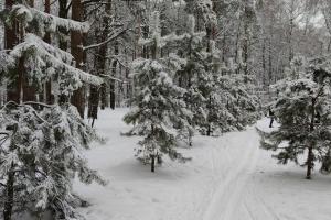 5 января в Туле ожидается оттепель и снегопад .