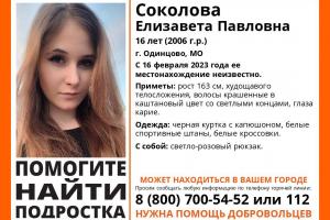 В Тульской области разыскивают 16-летнюю девушку из Подмосковья.