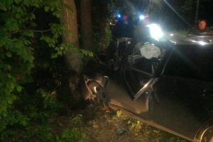 В Донском водитель погиб, врезавшись в дерево.