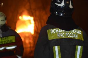 В МЧС оценили риск перехода рязанских пожаров в Тульскую область .